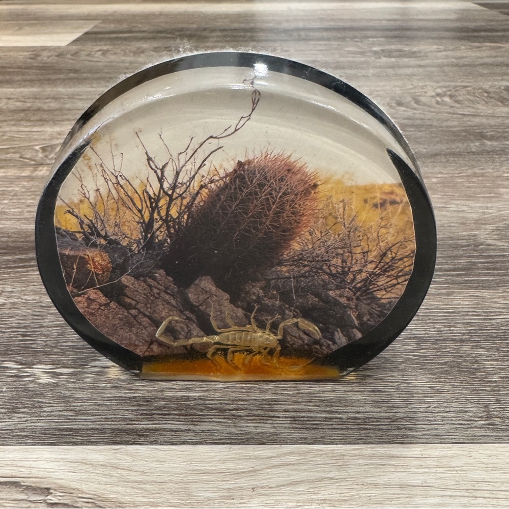 Domed Scorpion Resin Paperweight Decor Felt Backing Desert Scene Vintage